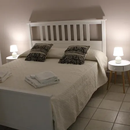 Tulip Guest house