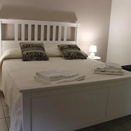 Tulip Guest house