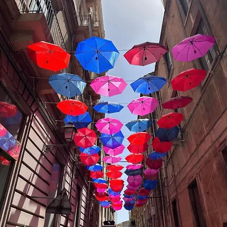 Tulip بيت ضيافة