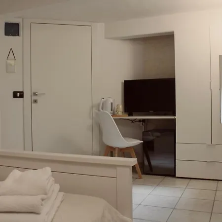 Tulip * كاتانيا